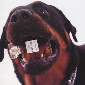 Meet your Posher, Tytus